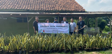 Penanaman Tumbuhan Sansivieria